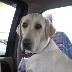 Meet your Posher, Fred